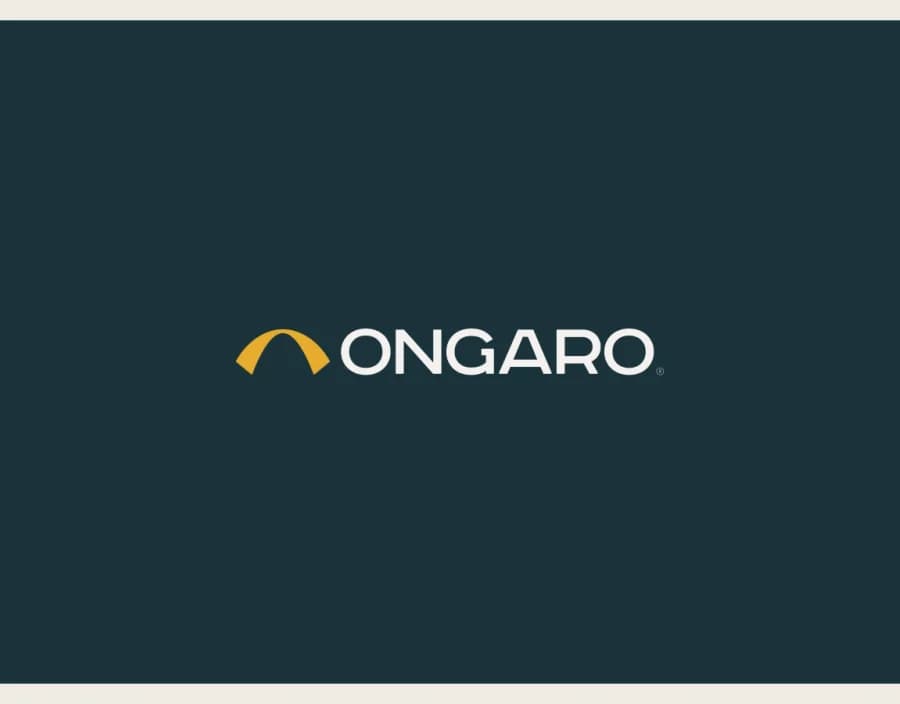 Capa do projeto Ongaro Soluções